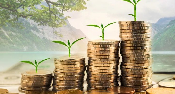 Wealth Creation